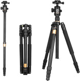 QZSD Q222 Camera Portable Aluminium Monopod Professional Tripod with Ball Head